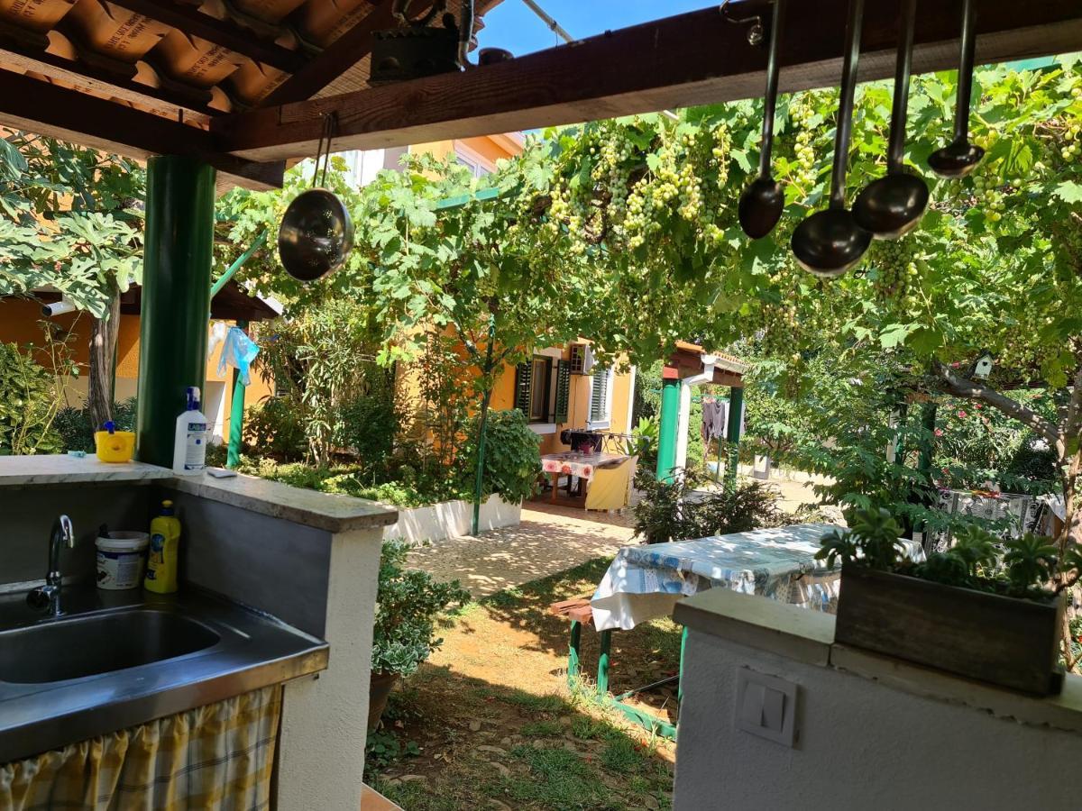 Guest House Bizjak ヴィンクラン エクステリア 写真