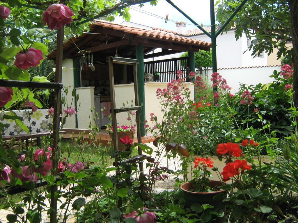 Guest House Bizjak ヴィンクラン エクステリア 写真